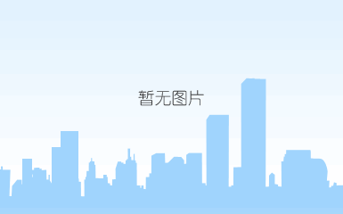 平台与生态